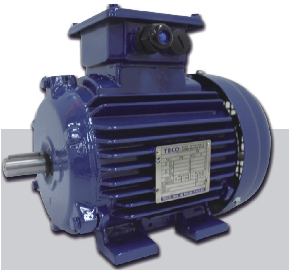 AEEV5N超超高效三相異步電機（MODEL:TEV5）